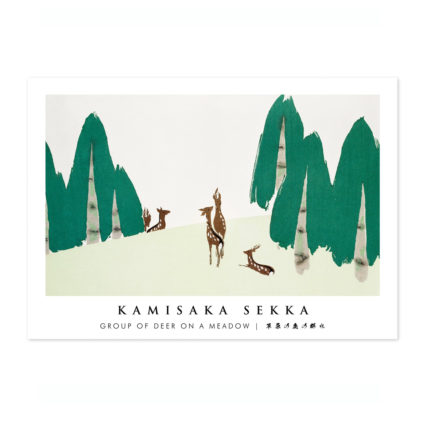 Group of Deer on a Meadow