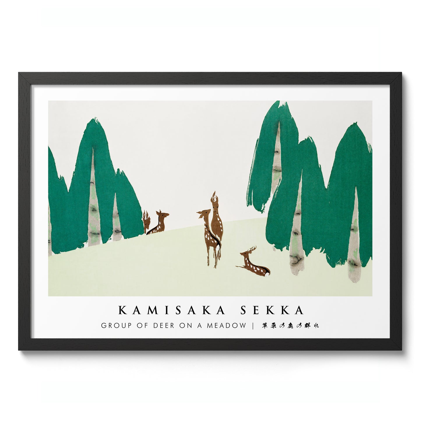 Group of Deer on a Meadow