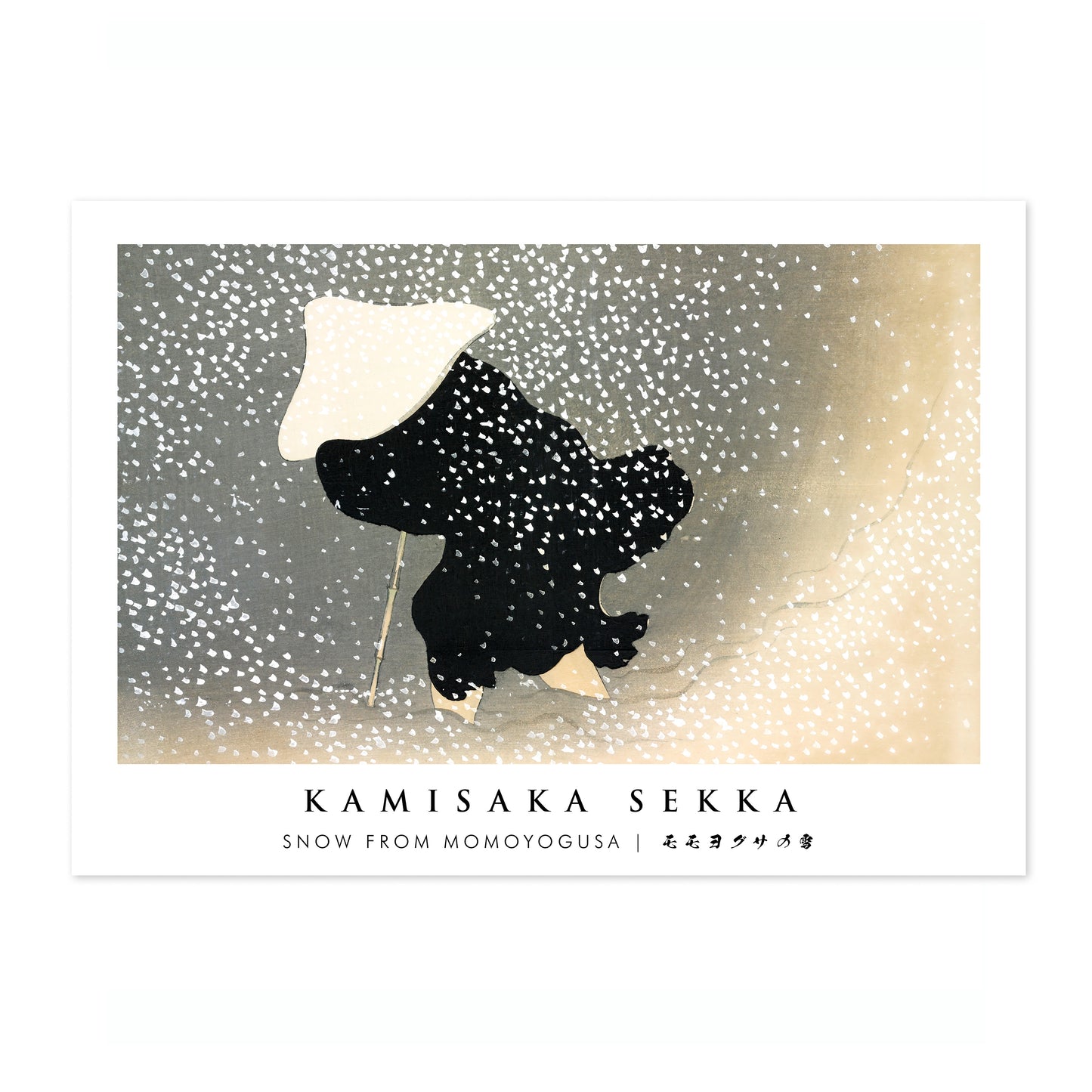 Snow from Momoyogusa