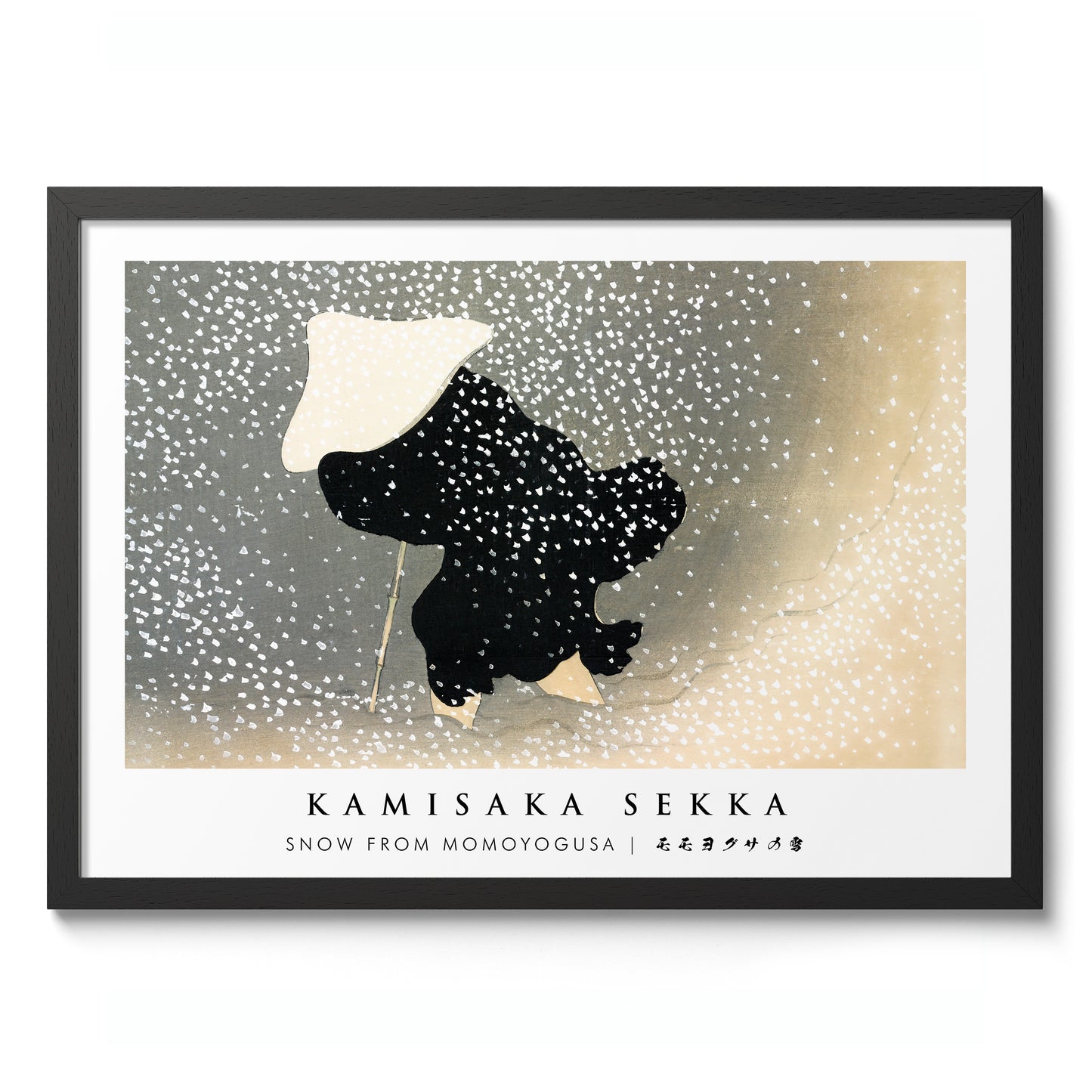 Snow from Momoyogusa