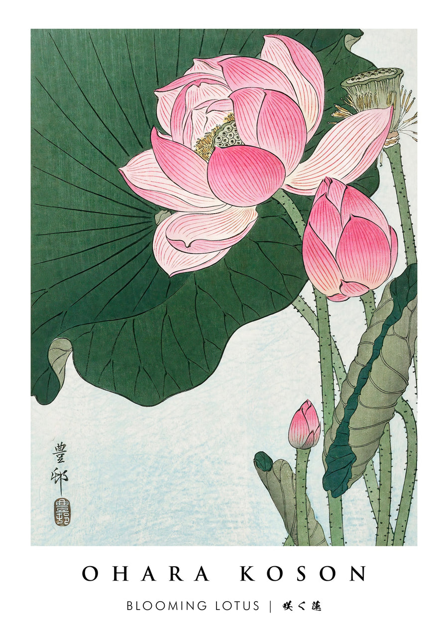 Bloeien Lotus - Print Only frame