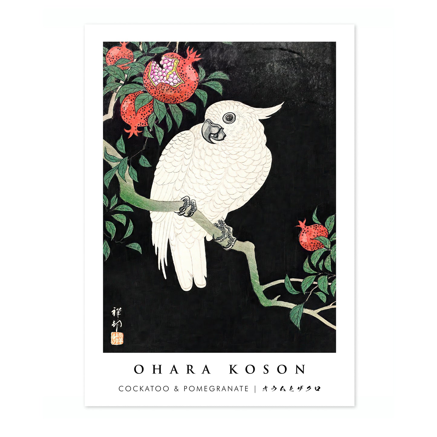 Kaketoe & Granaatappel