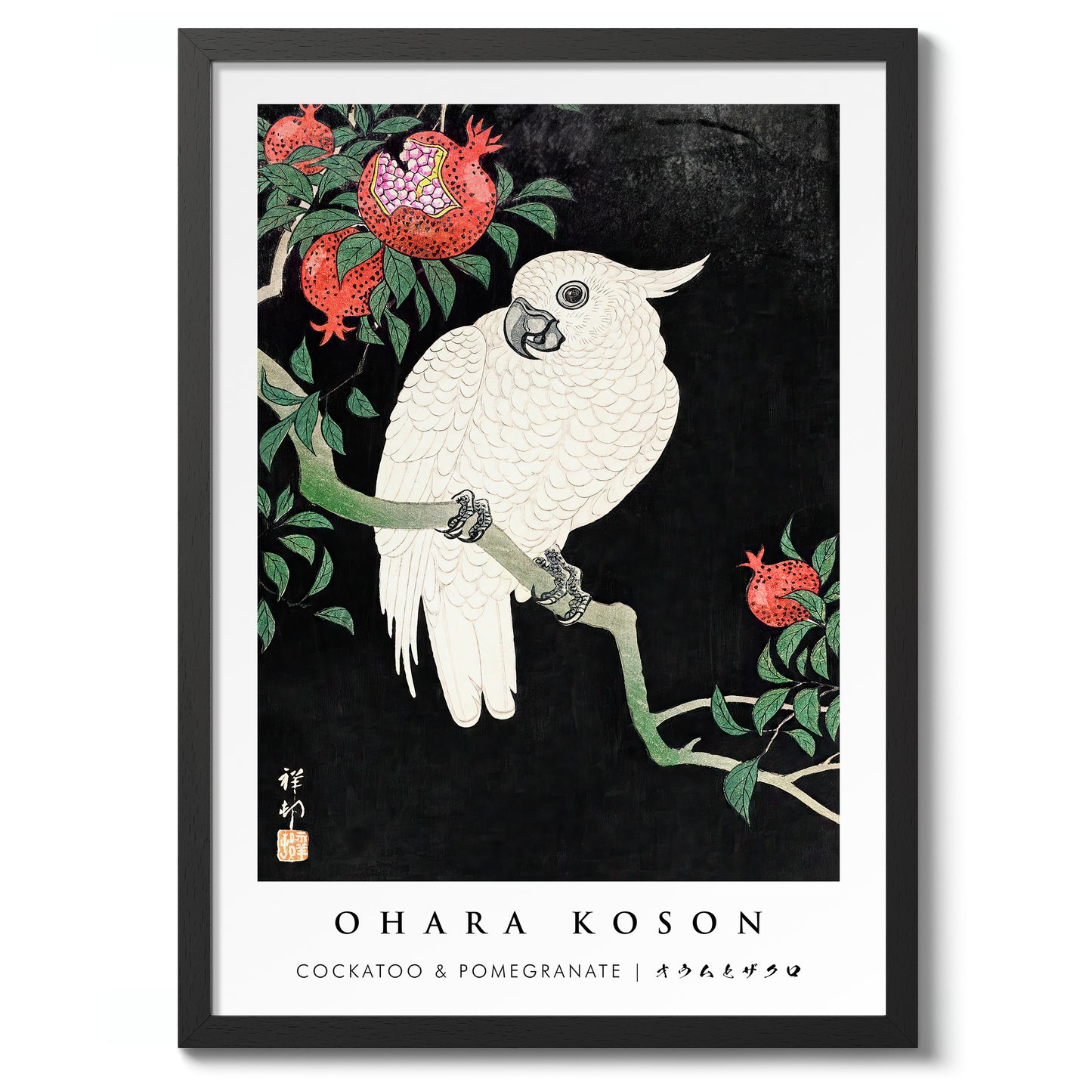 Kaketoe & Granaatappel