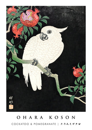 Kaketoe & Granaatappel print