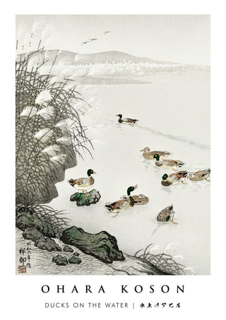 Eenden op het water print