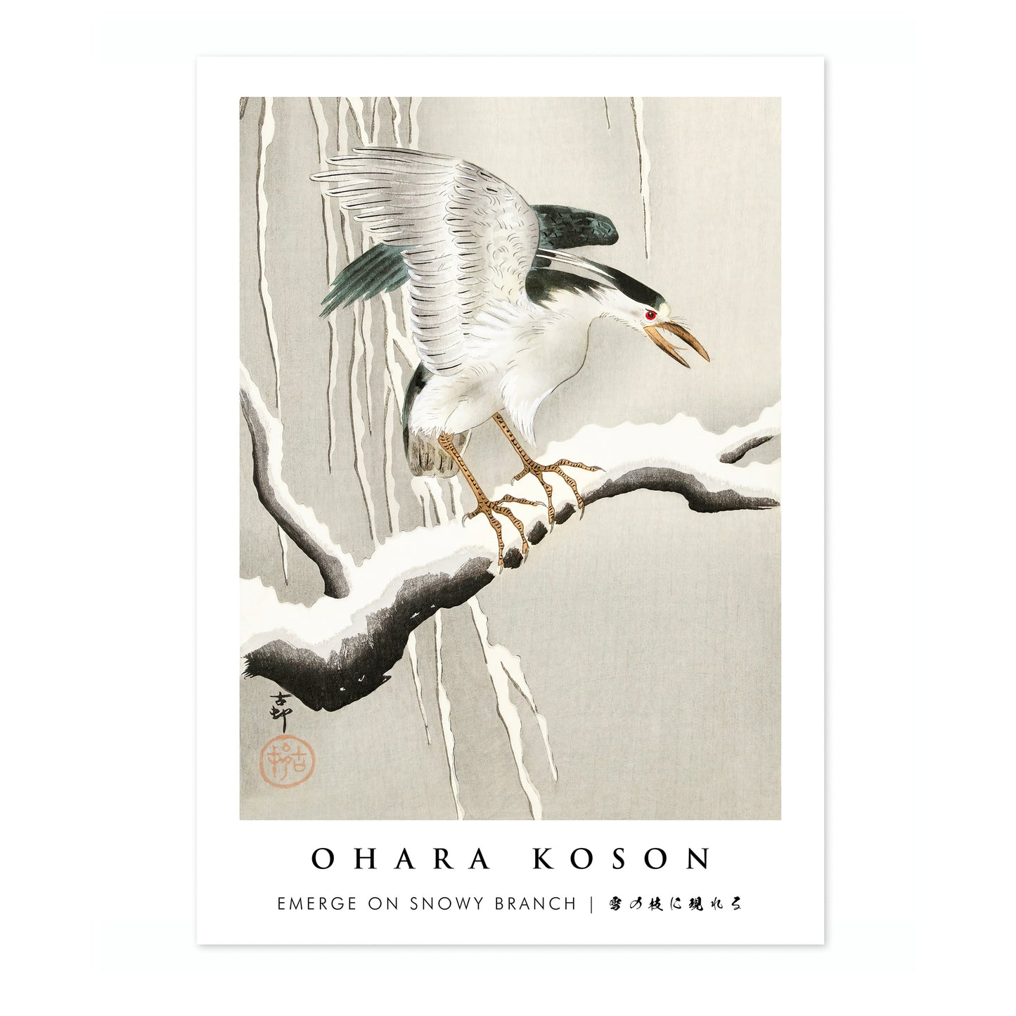 Tevoorschijn komen op een besneeuwde tak