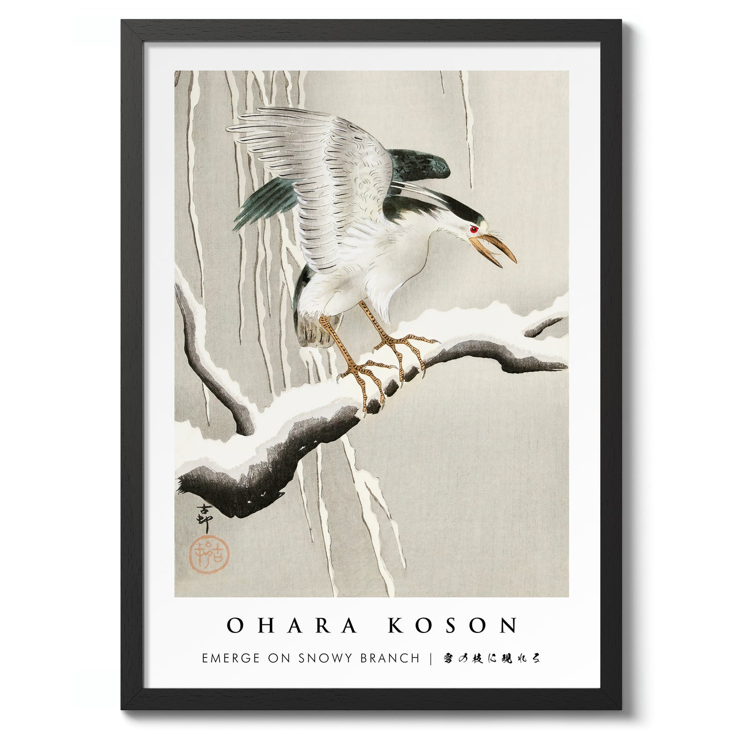 Tevoorschijn komen op een besneeuwde tak