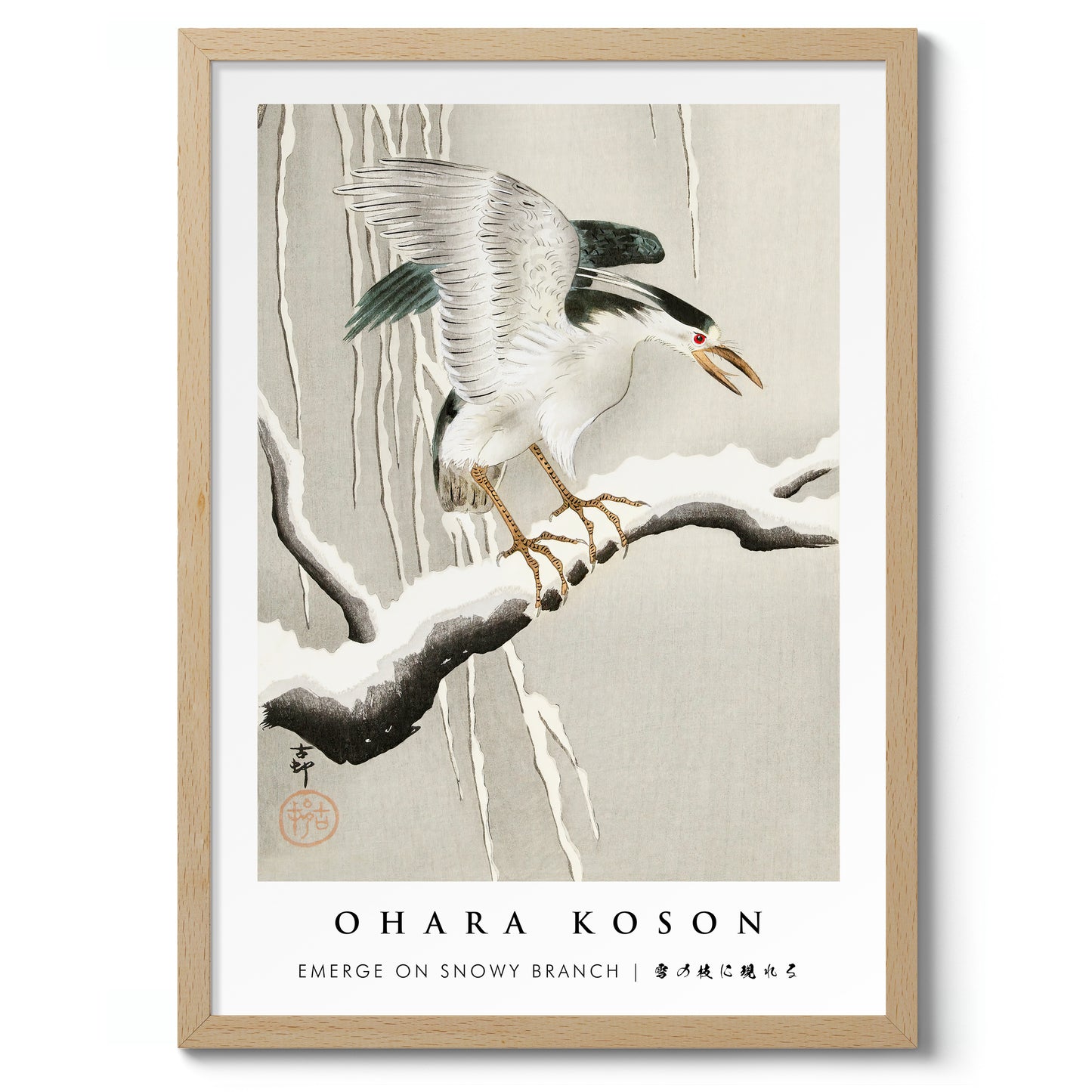 Tevoorschijn komen op een besneeuwde tak