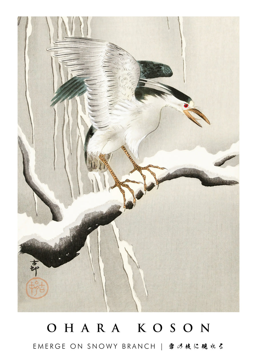 Tevoorschijn komen op een besneeuwde tak - Print Only frame