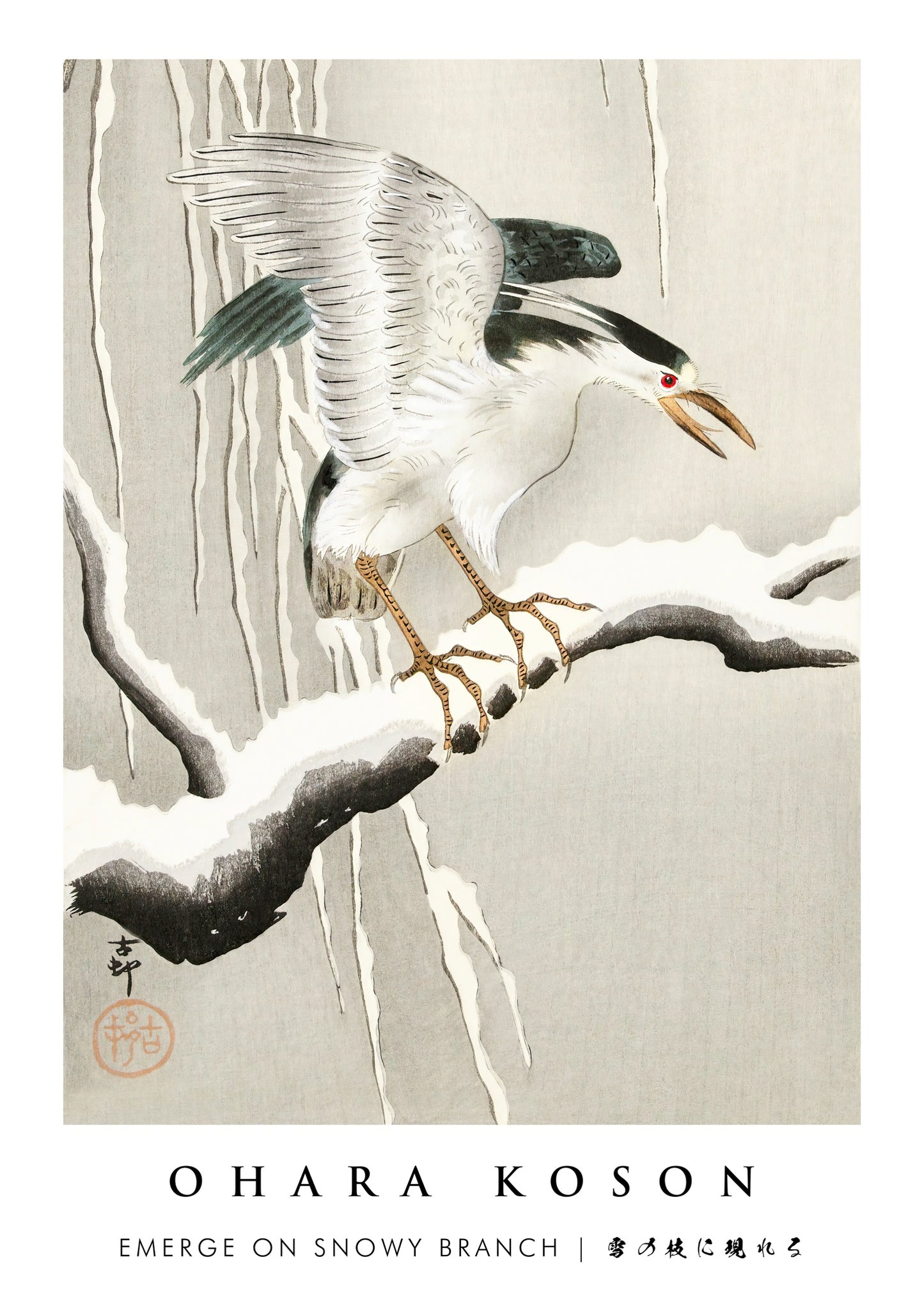 Tevoorschijn komen op een besneeuwde tak