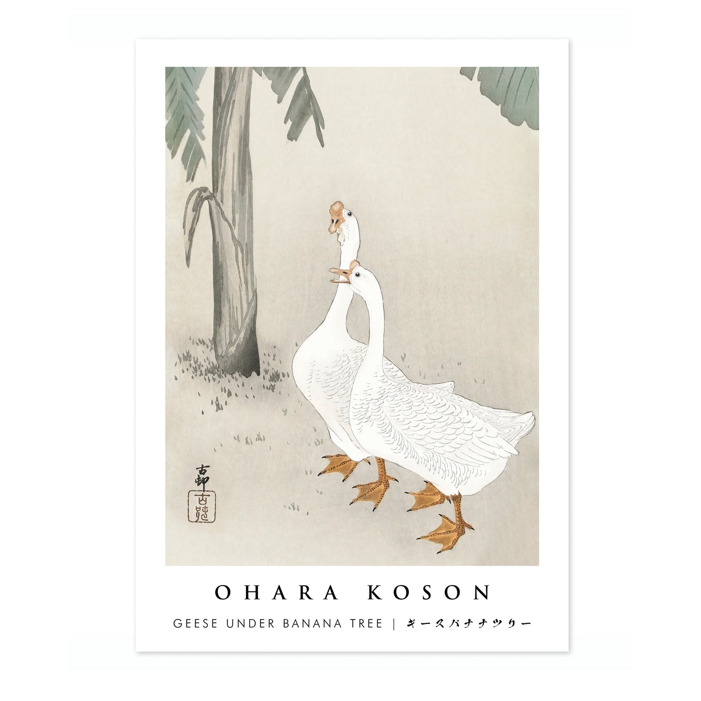 Geese under Banana Tree