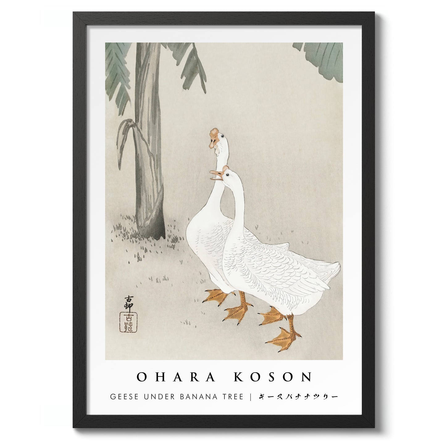 Geese under Banana Tree