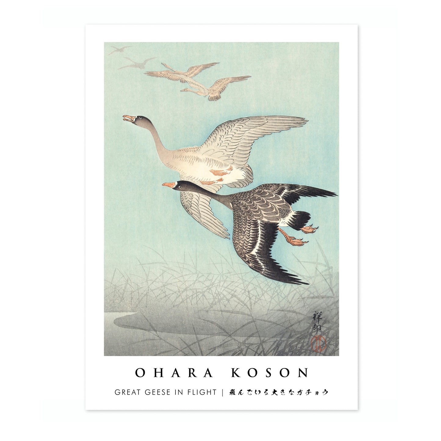 Great Geese in Flight