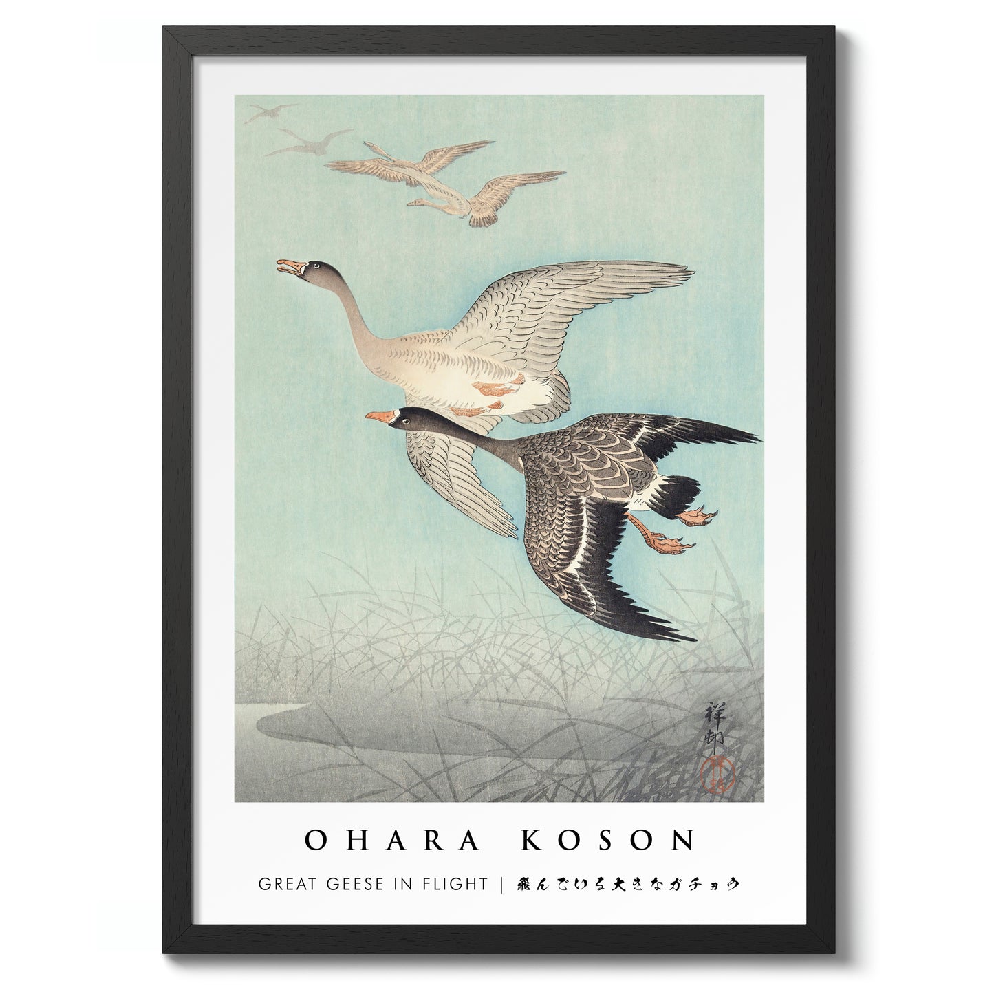 Great Geese in Flight