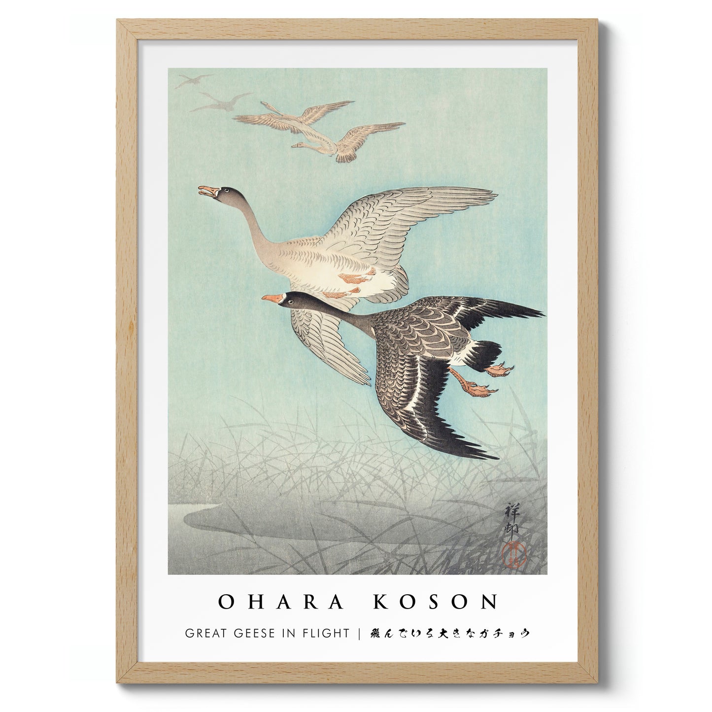 Great Geese in Flight