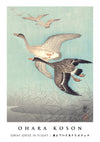 Great Geese in Flight print