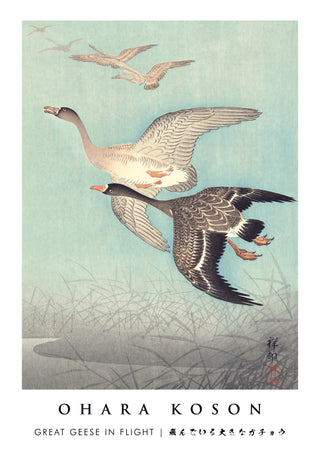 Great Geese in Flight print