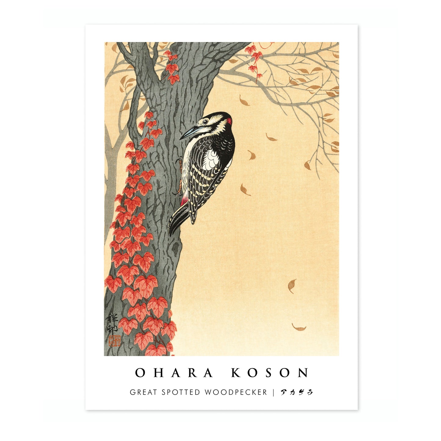 Great Spotted Woodpecker