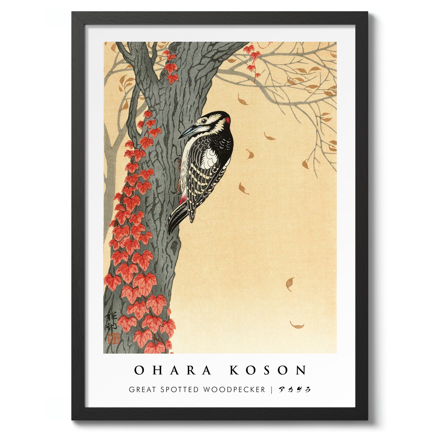 Great Spotted Woodpecker