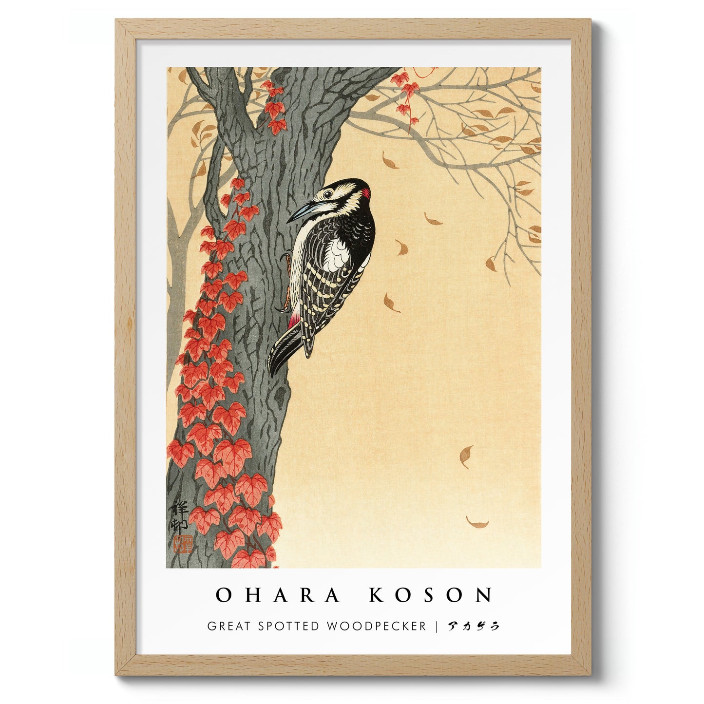 Great Spotted Woodpecker