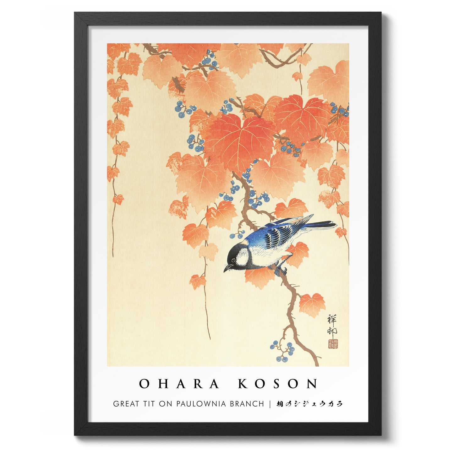 Great Tit on Paulownia Branch