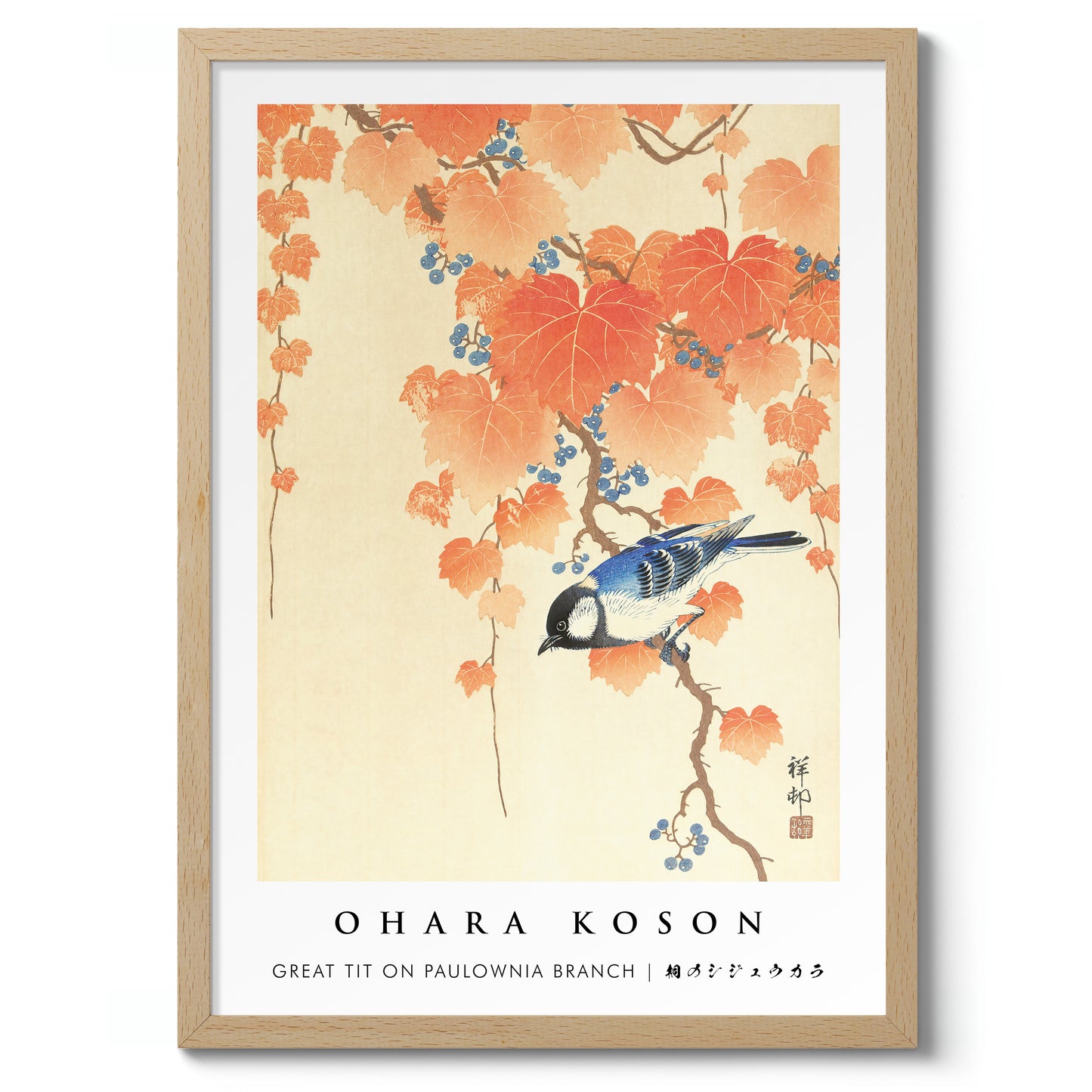 Great Tit on Paulownia Branch