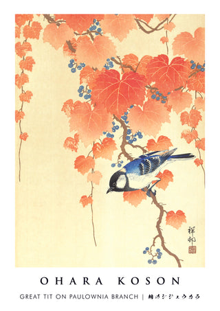 Great Tit on Paulownia Branch print