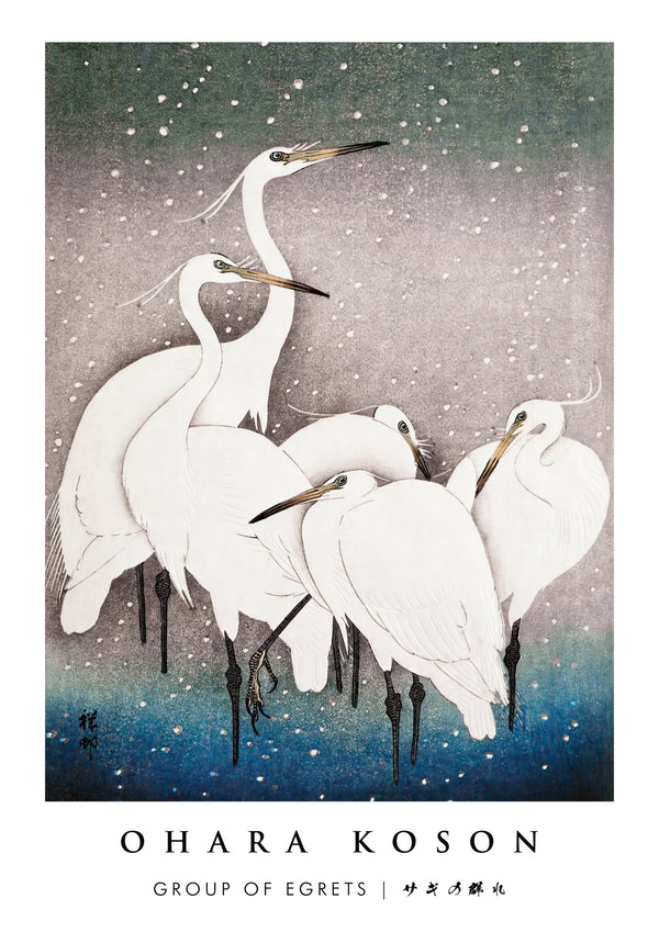 Group of Egrets