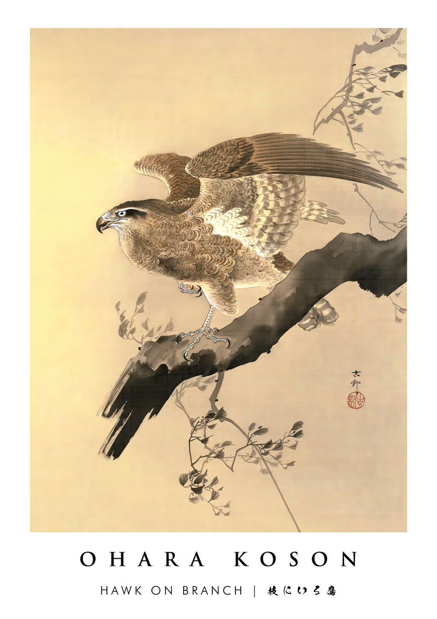 Faucon sur la branche - Print Only frame