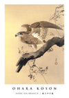Hawk on Branch print
