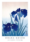 Fleurs d'iris print
