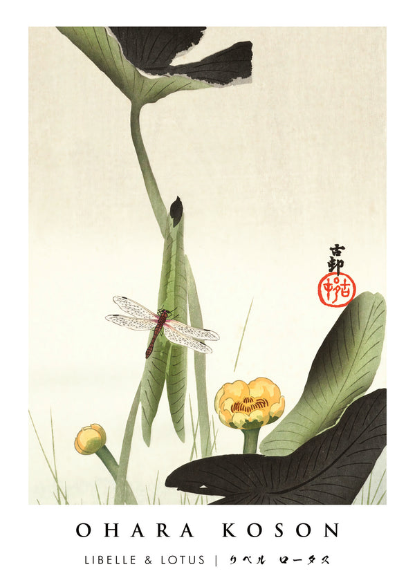 Libelle & Lotus