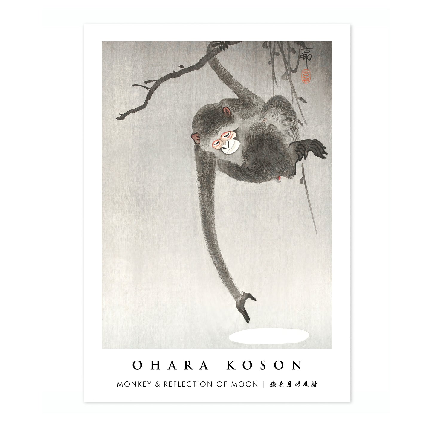 Singe et reflet de la lune