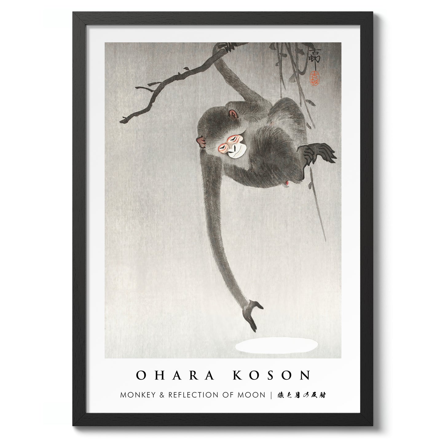 Singe et reflet de la lune