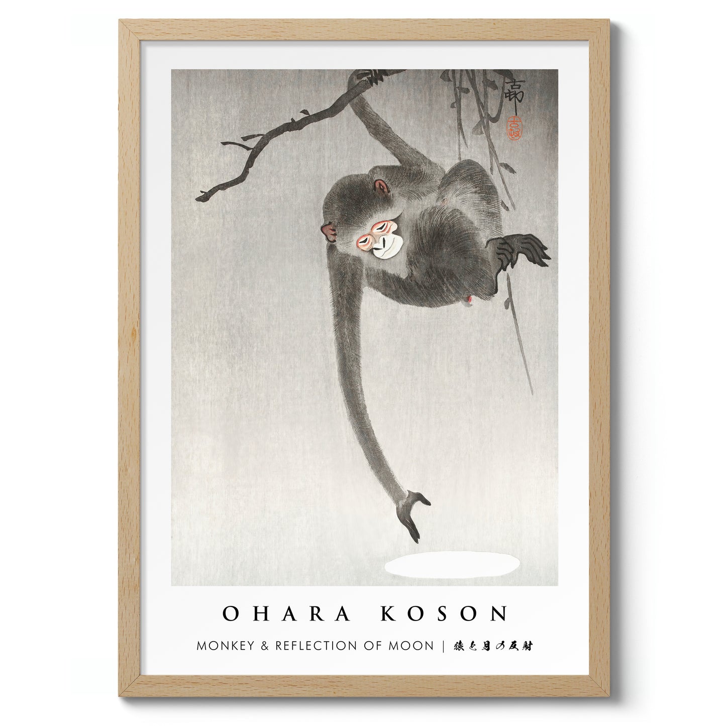 Singe et reflet de la lune