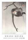 Singe et reflet de la lune print