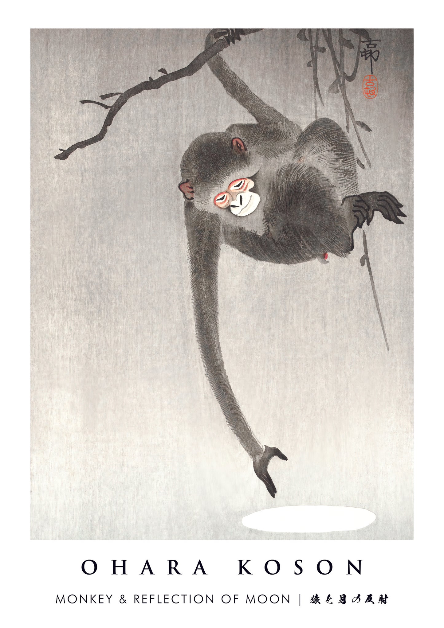 Singe et reflet de la lune