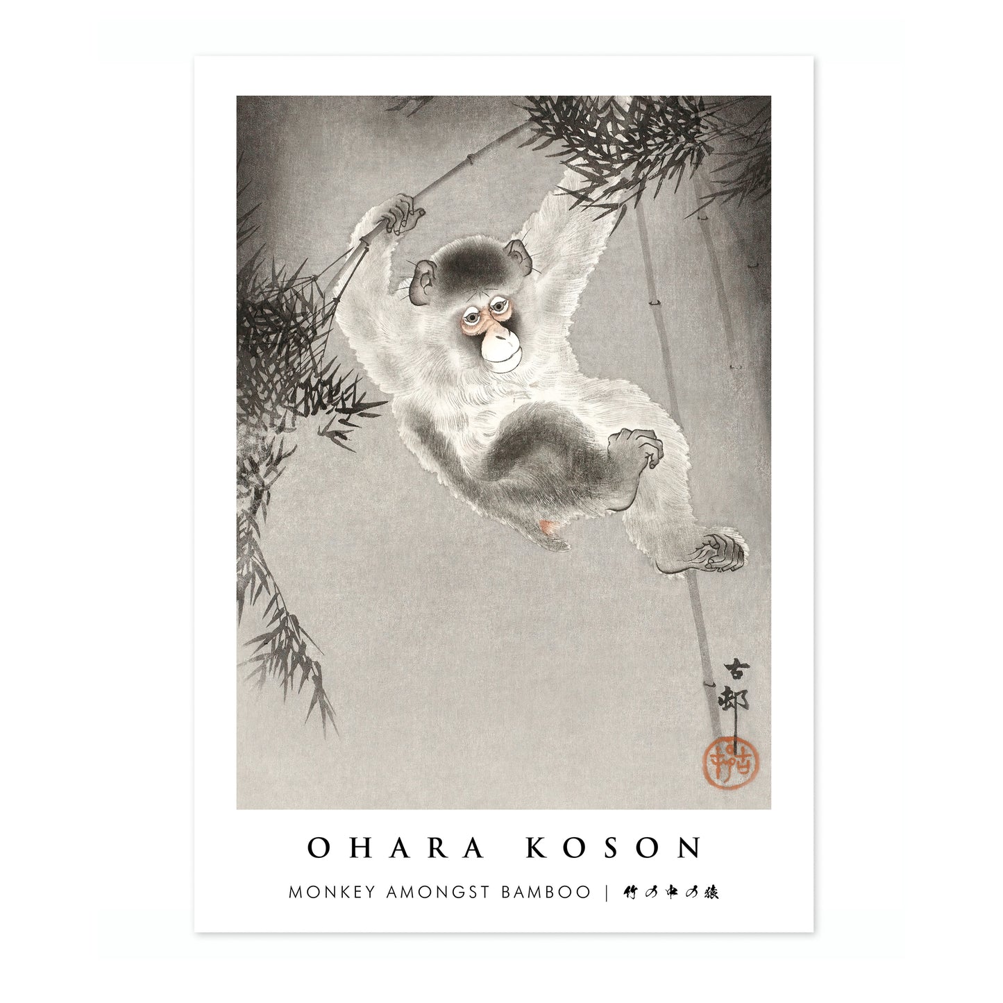 Singe parmi les bambous