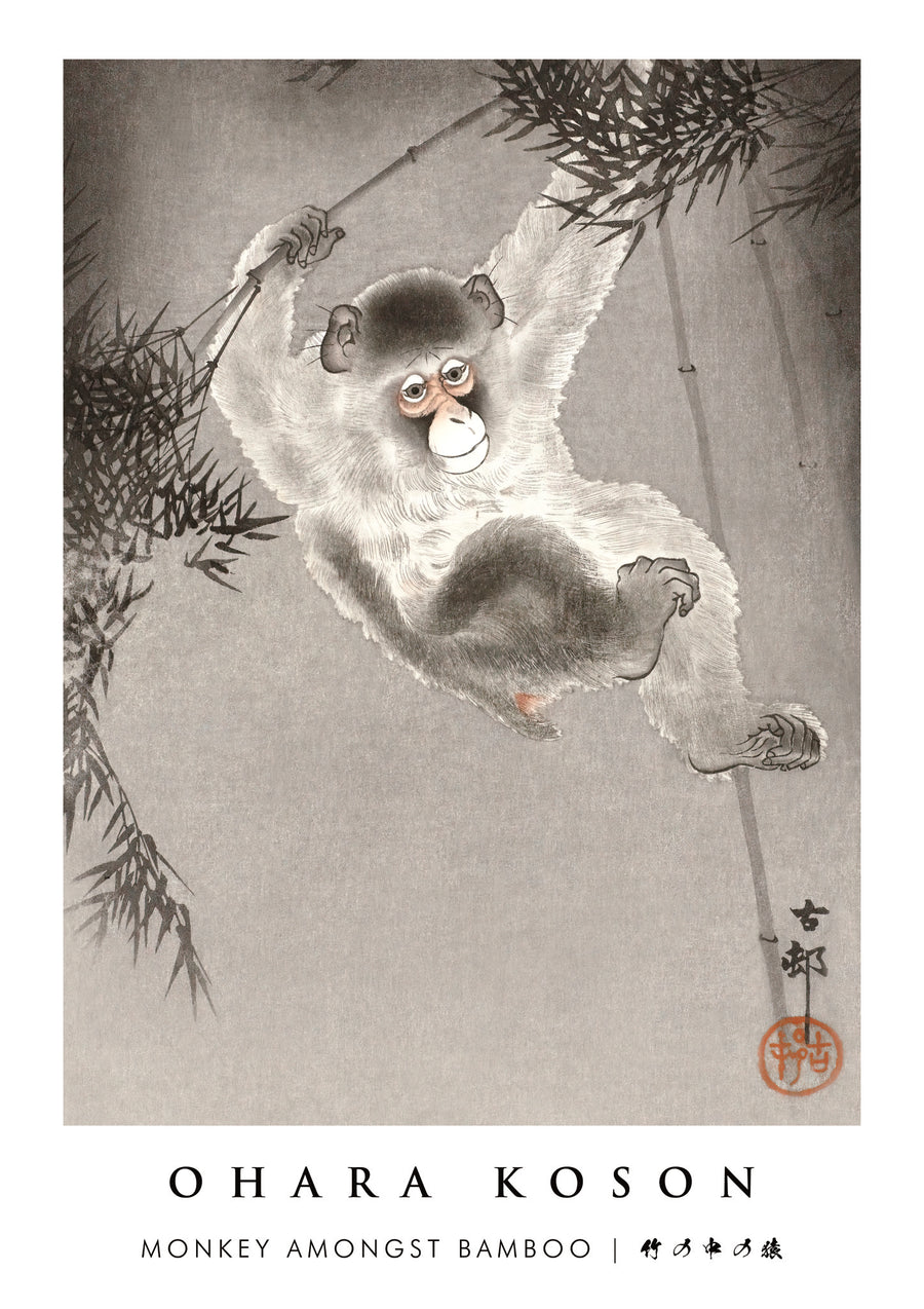 Aap Tussen Bamboe - Print Only frame