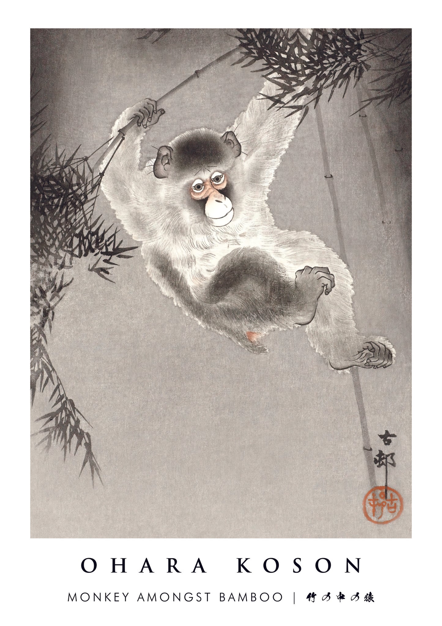 Singe parmi les bambous