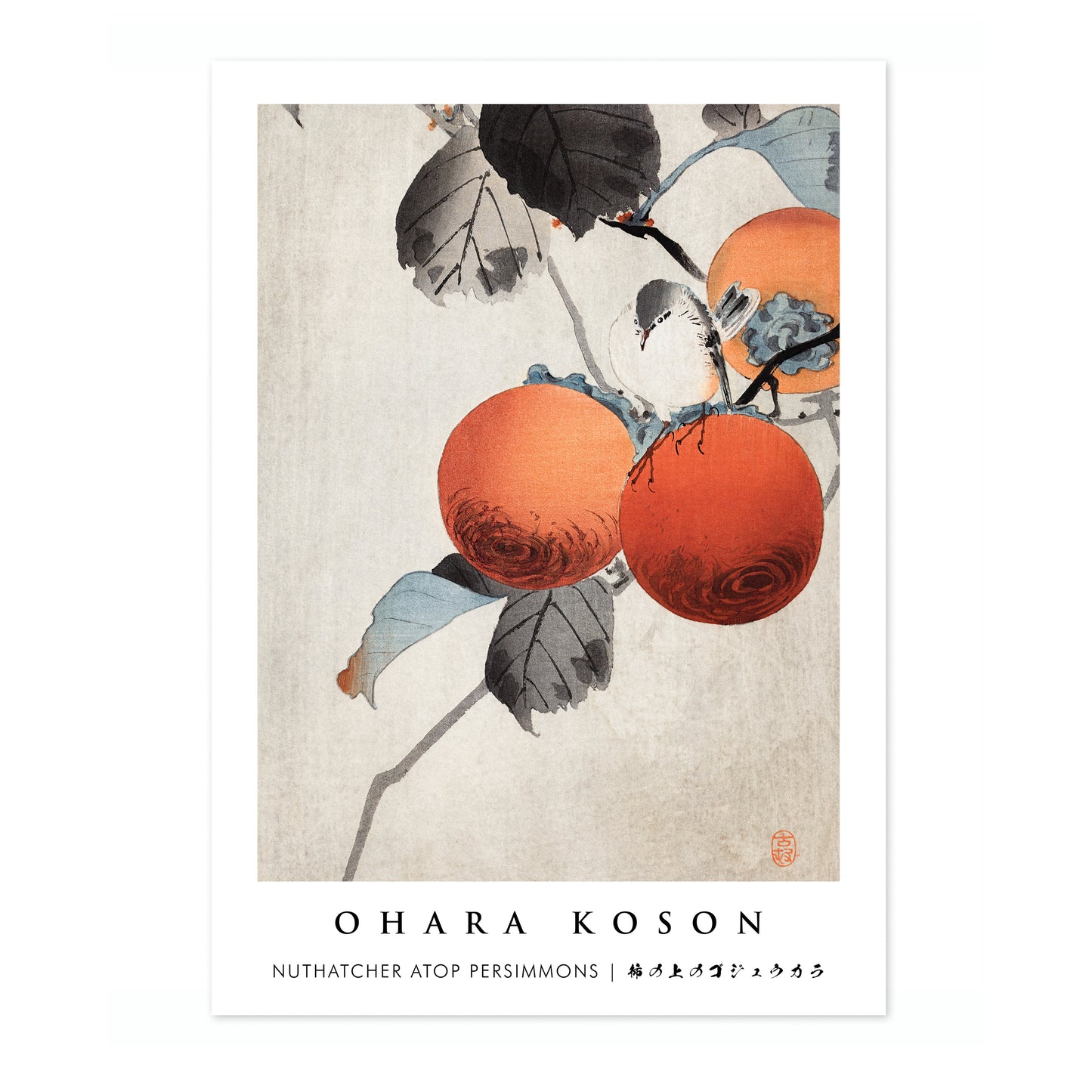 Nuthatcher atop Persimmons