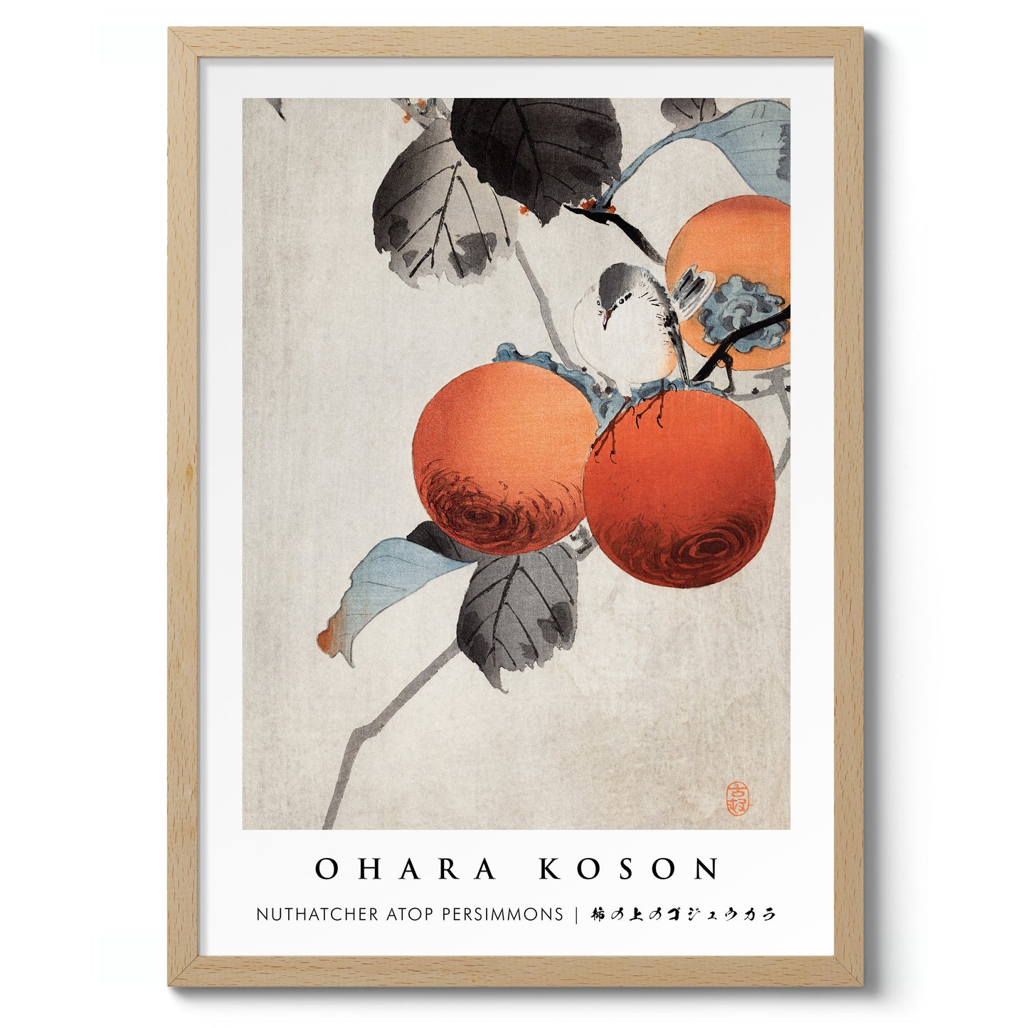 Nuthatcher atop Persimmons