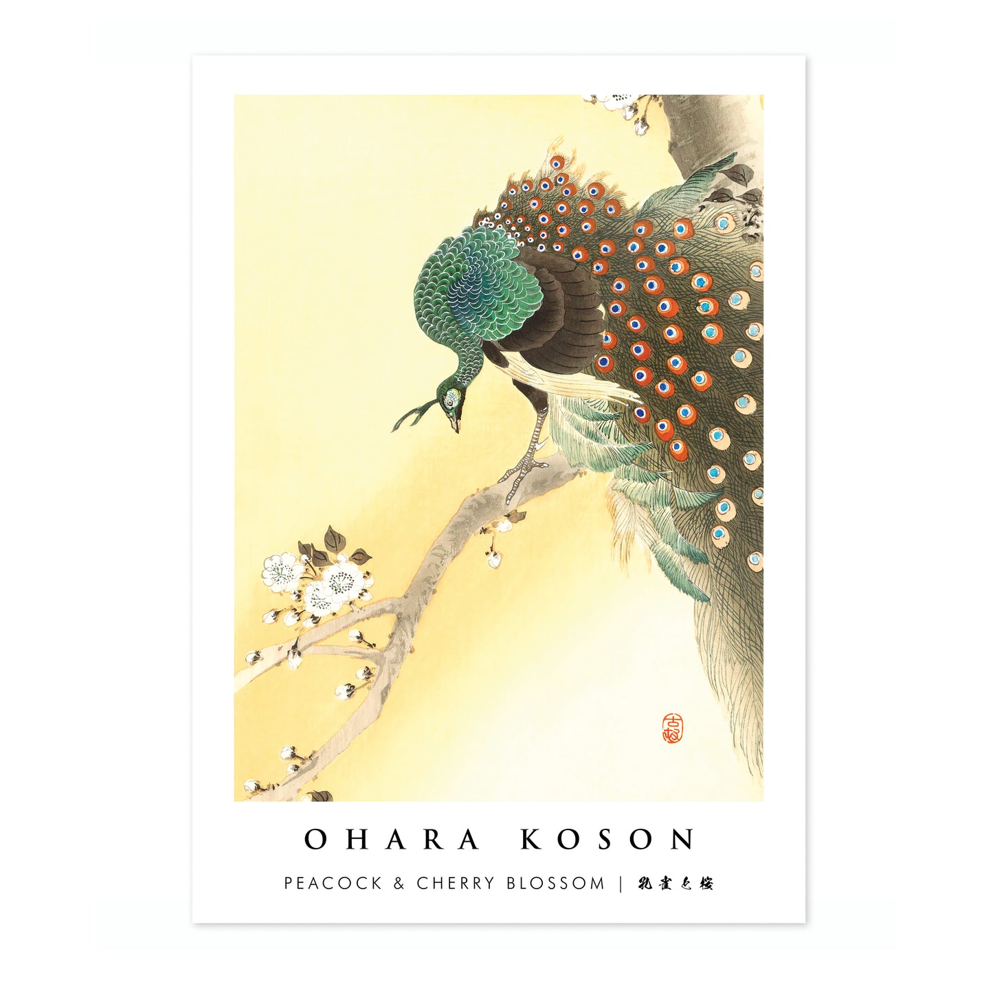 Peacock & Cherry Blossom