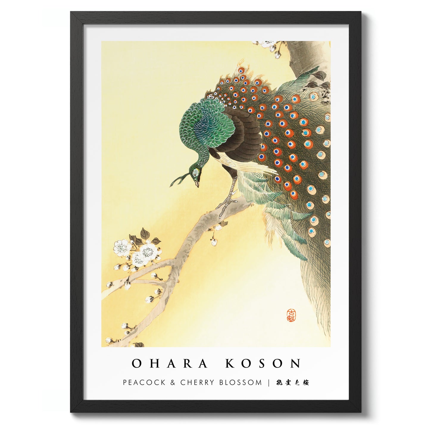 Peacock & Cherry Blossom
