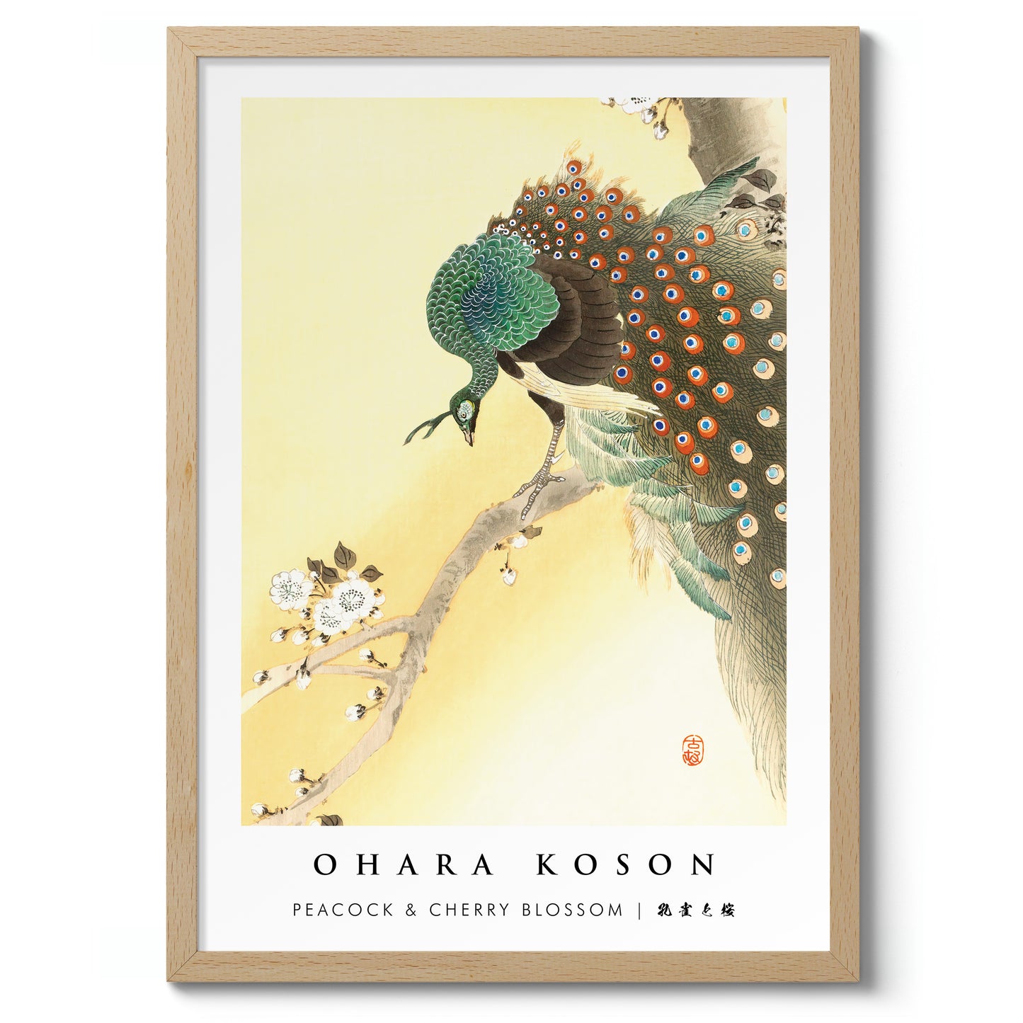 Peacock & Cherry Blossom