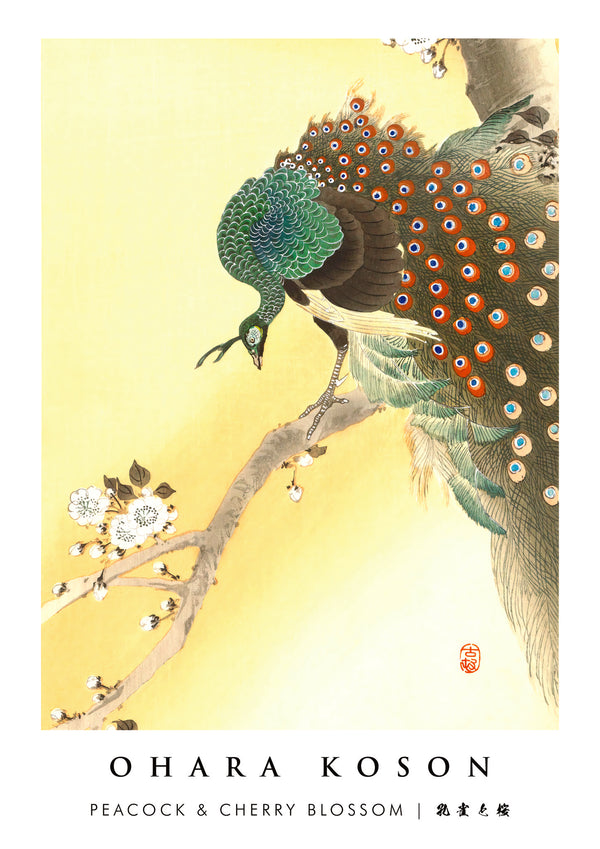 Peacock & Cherry Blossom