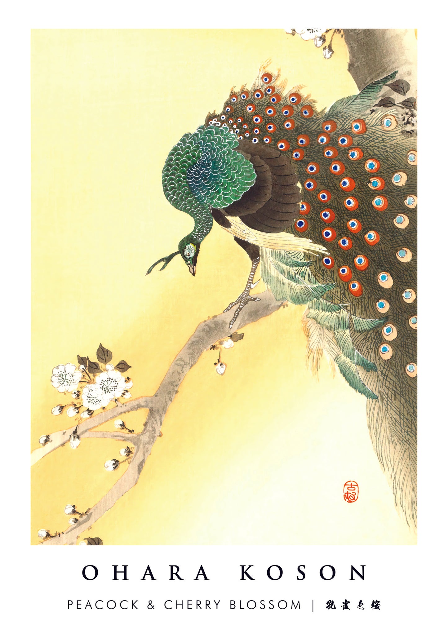 Peacock & Cherry Blossom