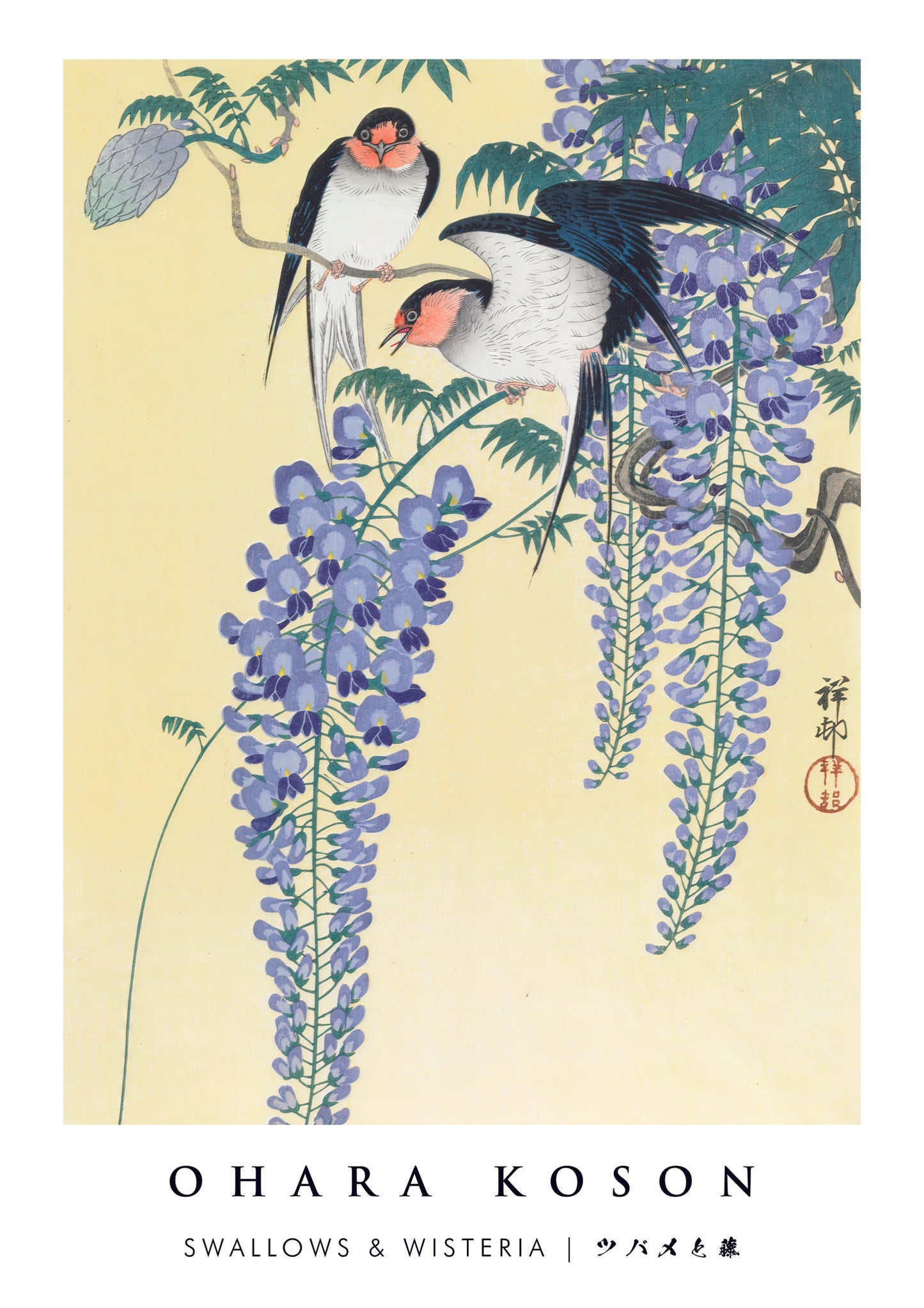 Swallows & Wisteria