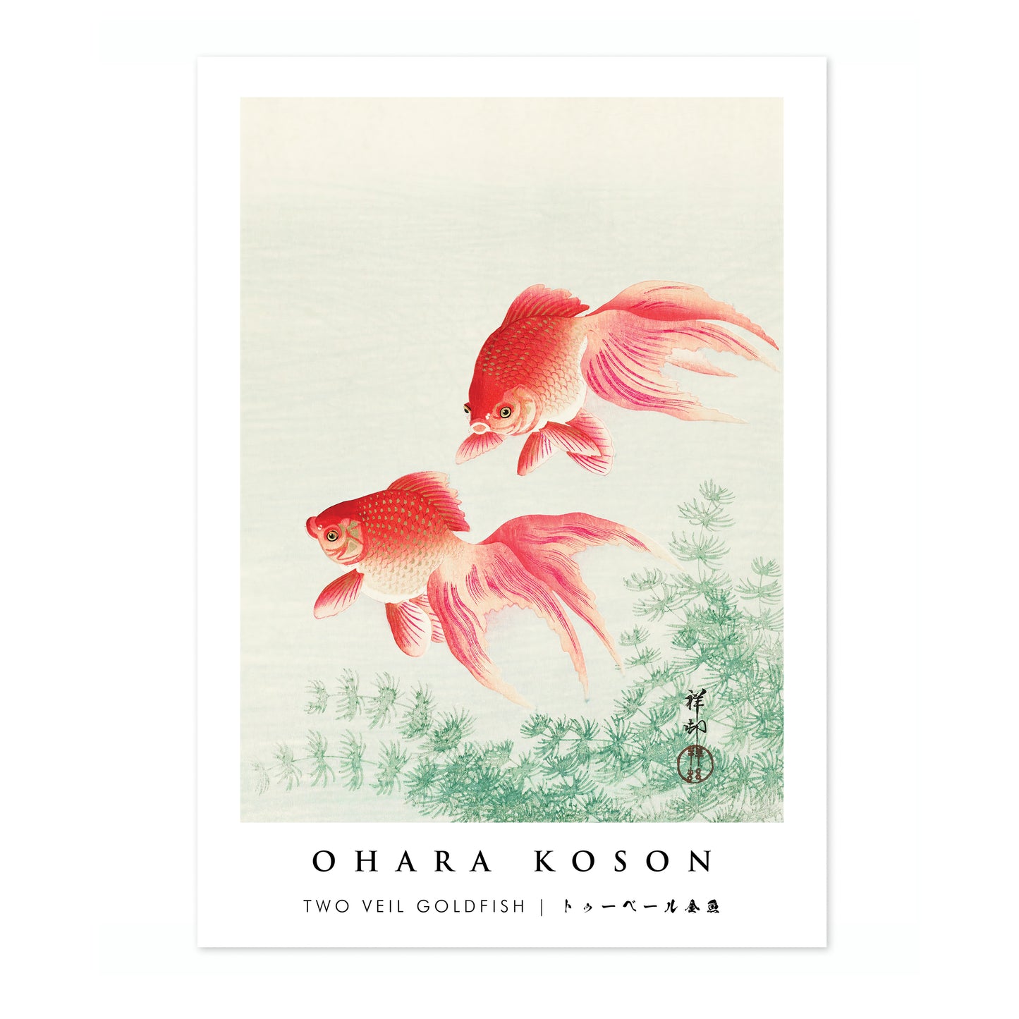 Deux poissons rouges voilés