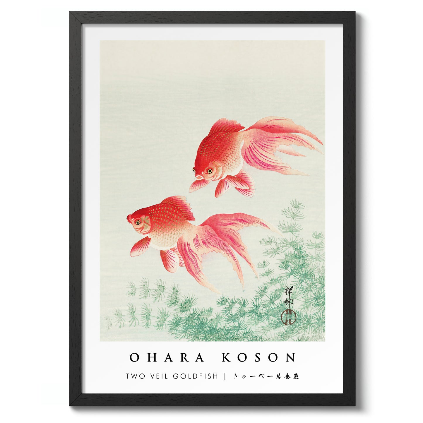 Deux poissons rouges voilés